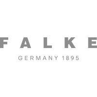 Logo Flake